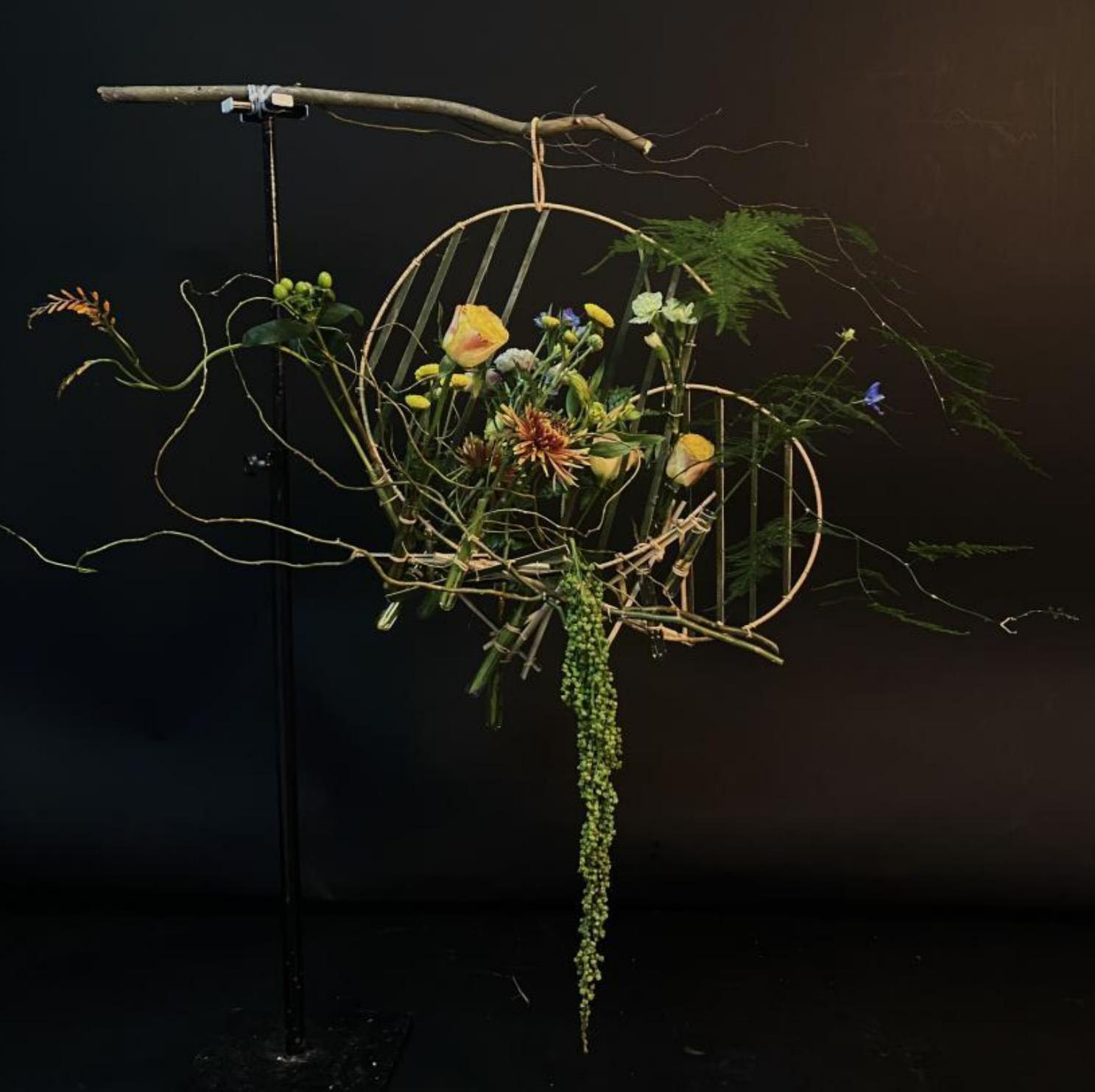 1664160470100350.jpg 1664160470100350.jpg