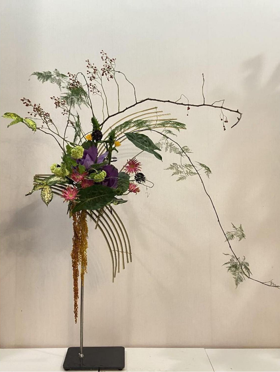 1664160470114339.jpg 1664160470114339.jpg