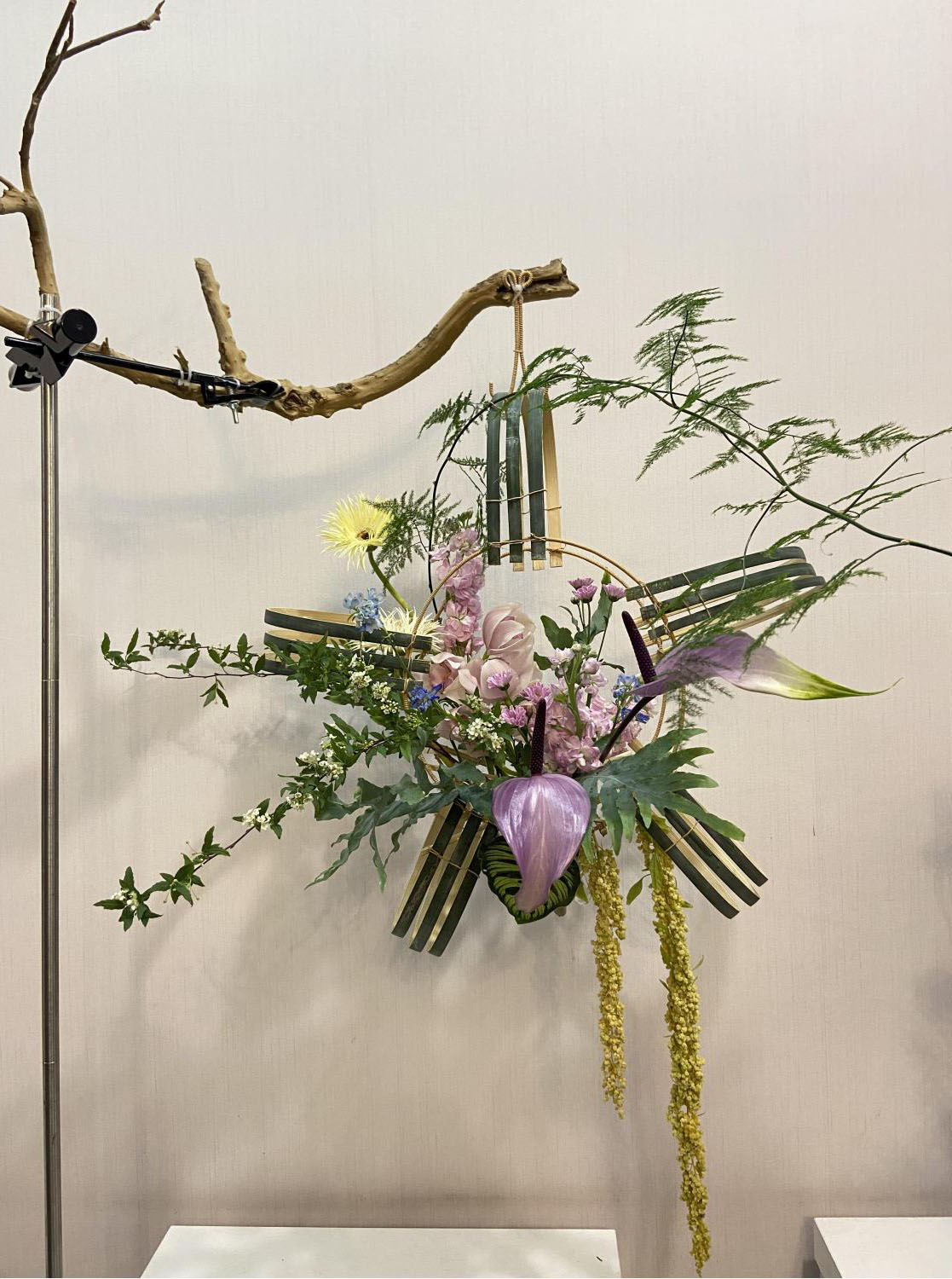 1664160470127133.jpg 1664160470127133.jpg