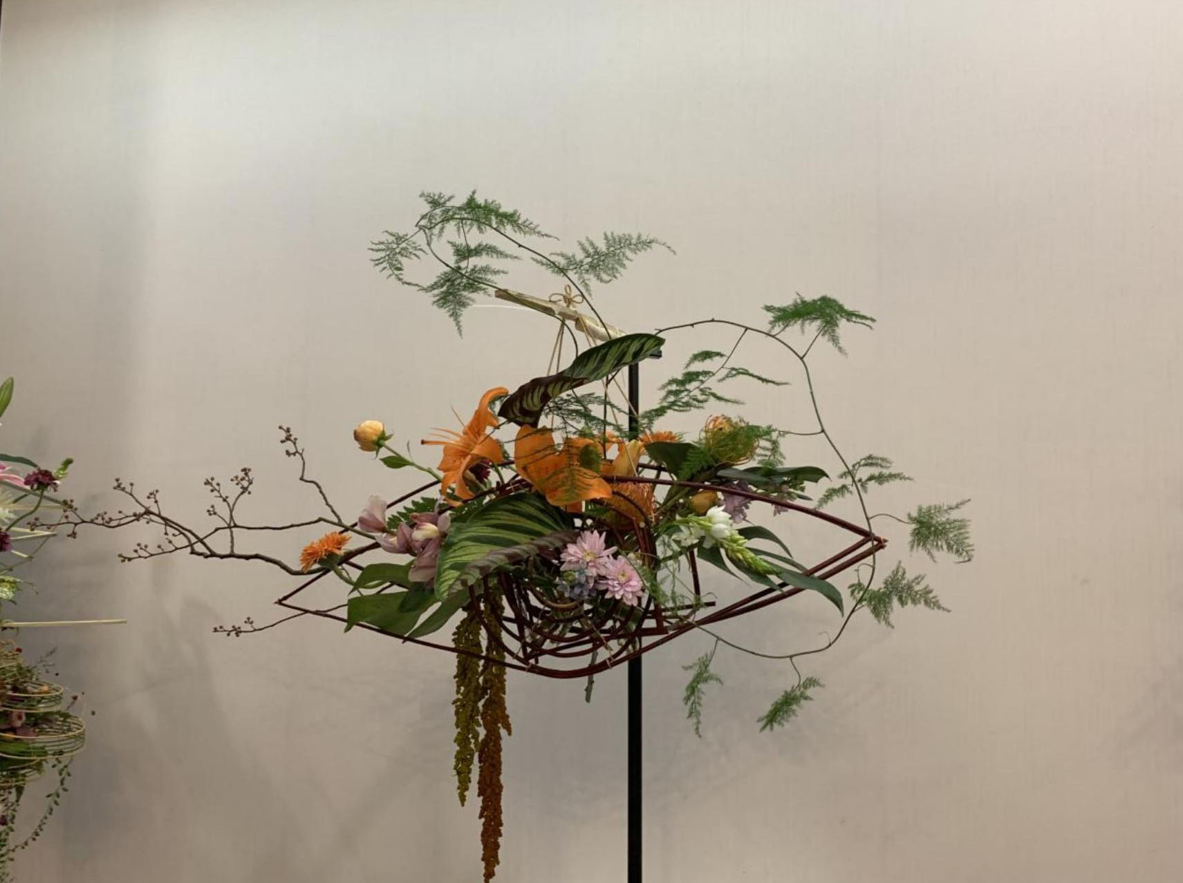 1664160470134362.jpg 1664160470134362.jpg