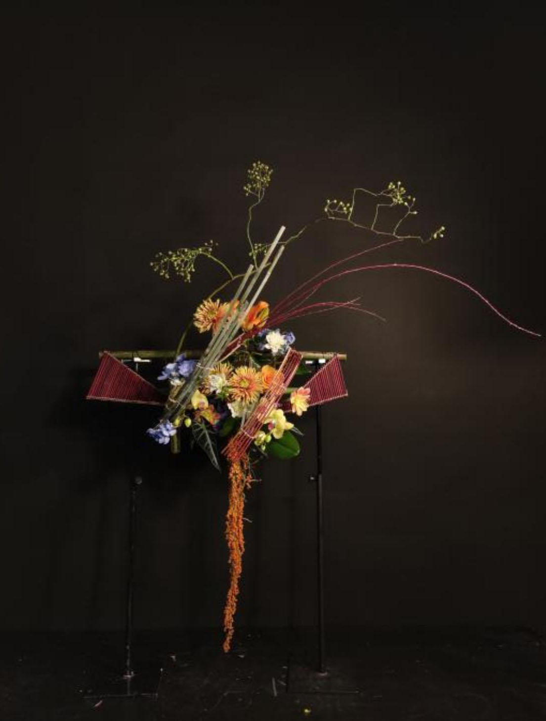 1664160470136793.jpg 1664160470136793.jpg