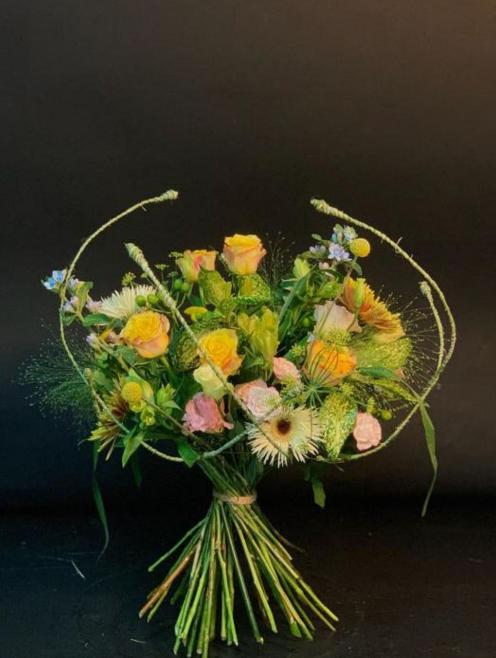 1664160977679127.jpg 1664160977679127.jpg