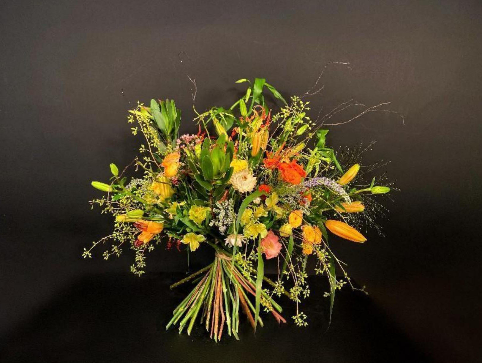 1664160977878493.jpg 1664160977878493.jpg