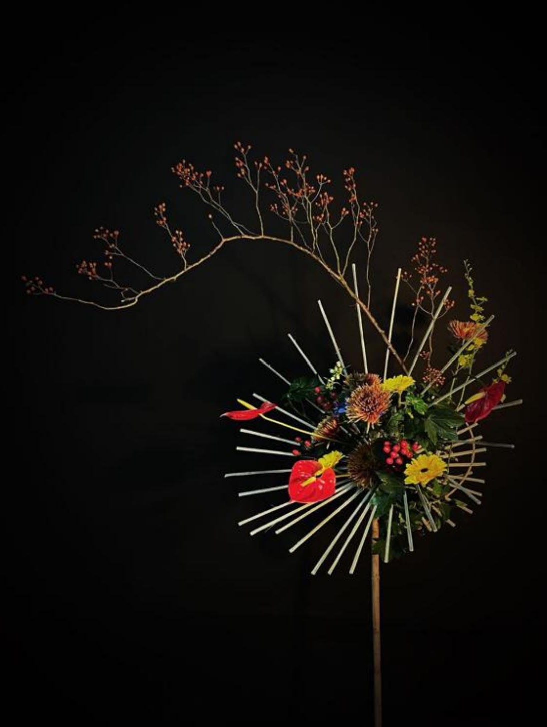 1664161211109180.jpg 1664161211109180.jpg