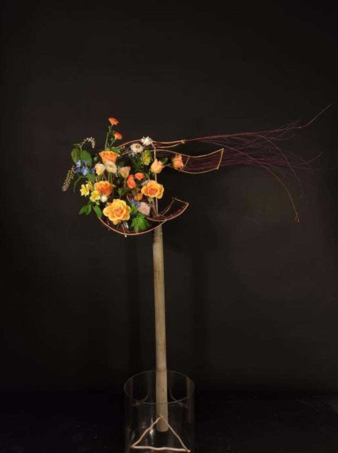 1664161211794840.jpg 1664161211794840.jpg