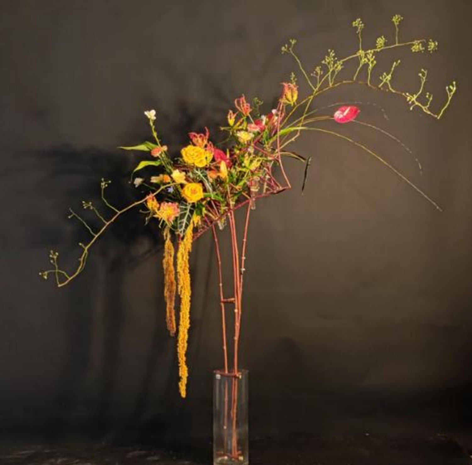 1664161212136630.jpg 1664161212136630.jpg