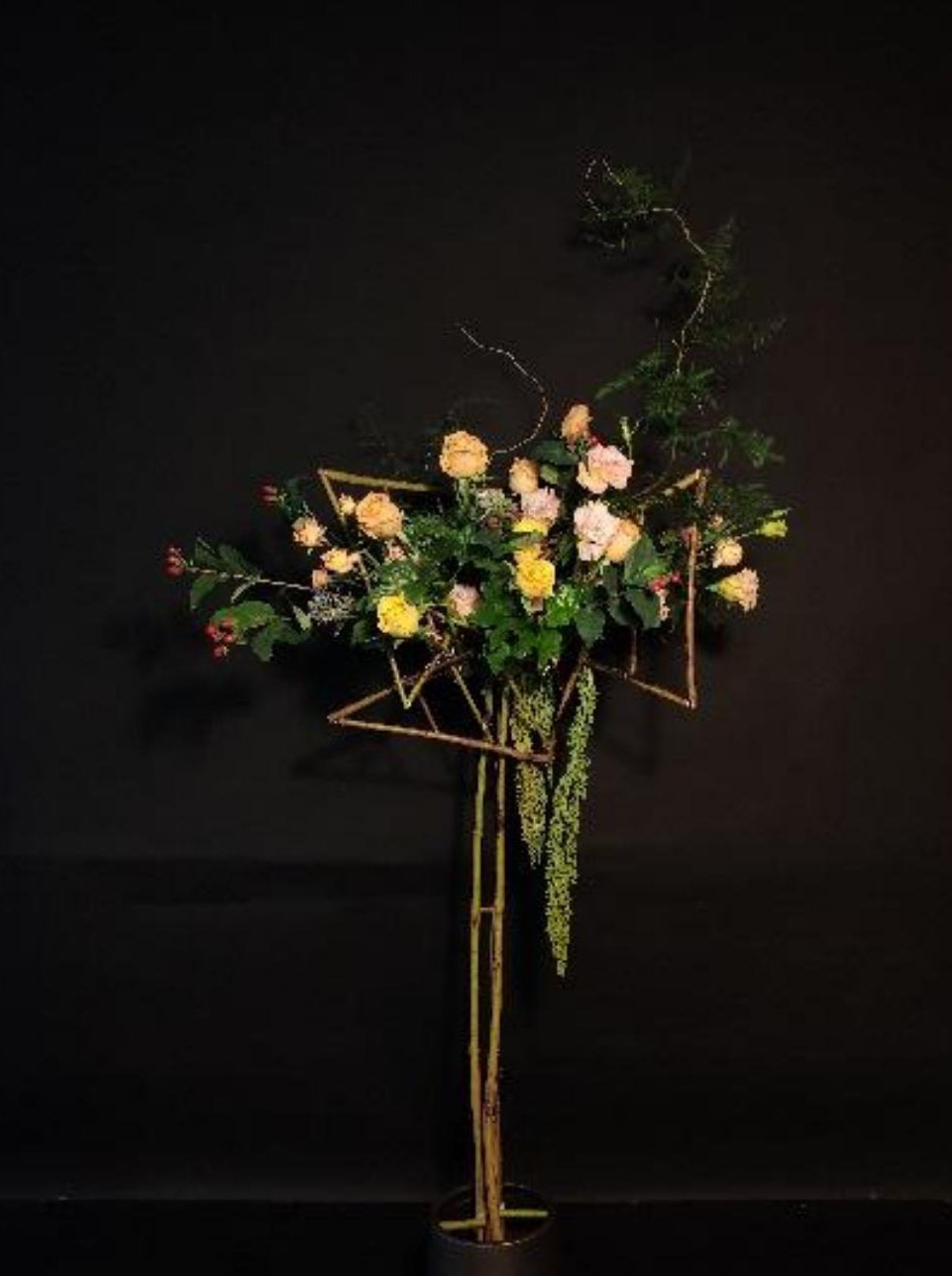 1664161212371966.jpg 1664161212371966.jpg