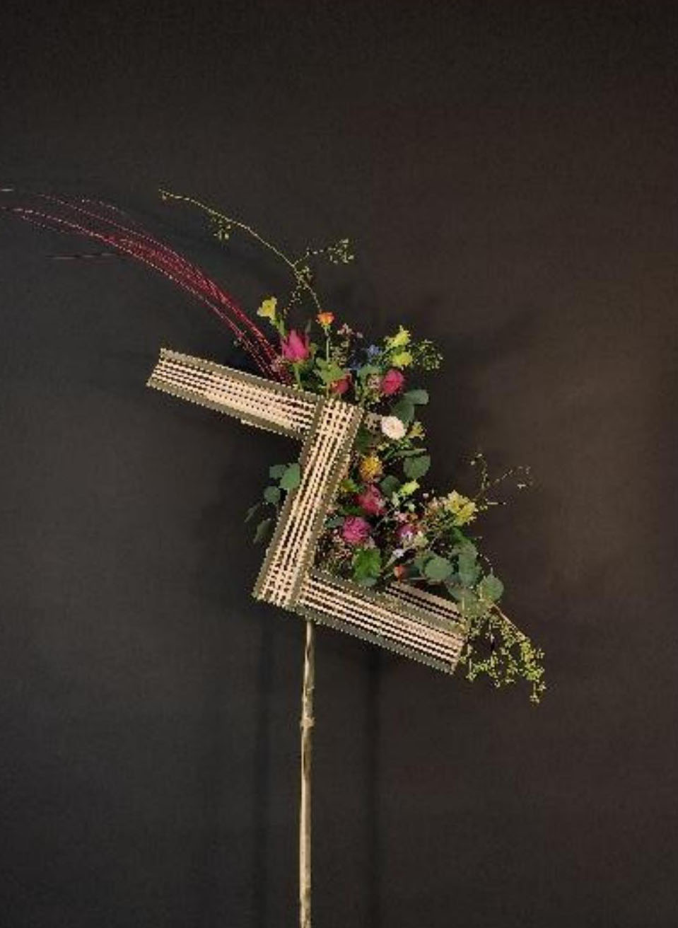 1664161212566298.jpg 1664161212566298.jpg