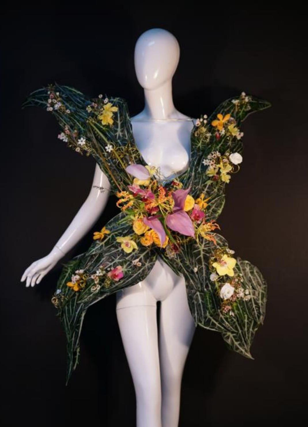 1664161644908400.jpg 1664161644908400.jpg