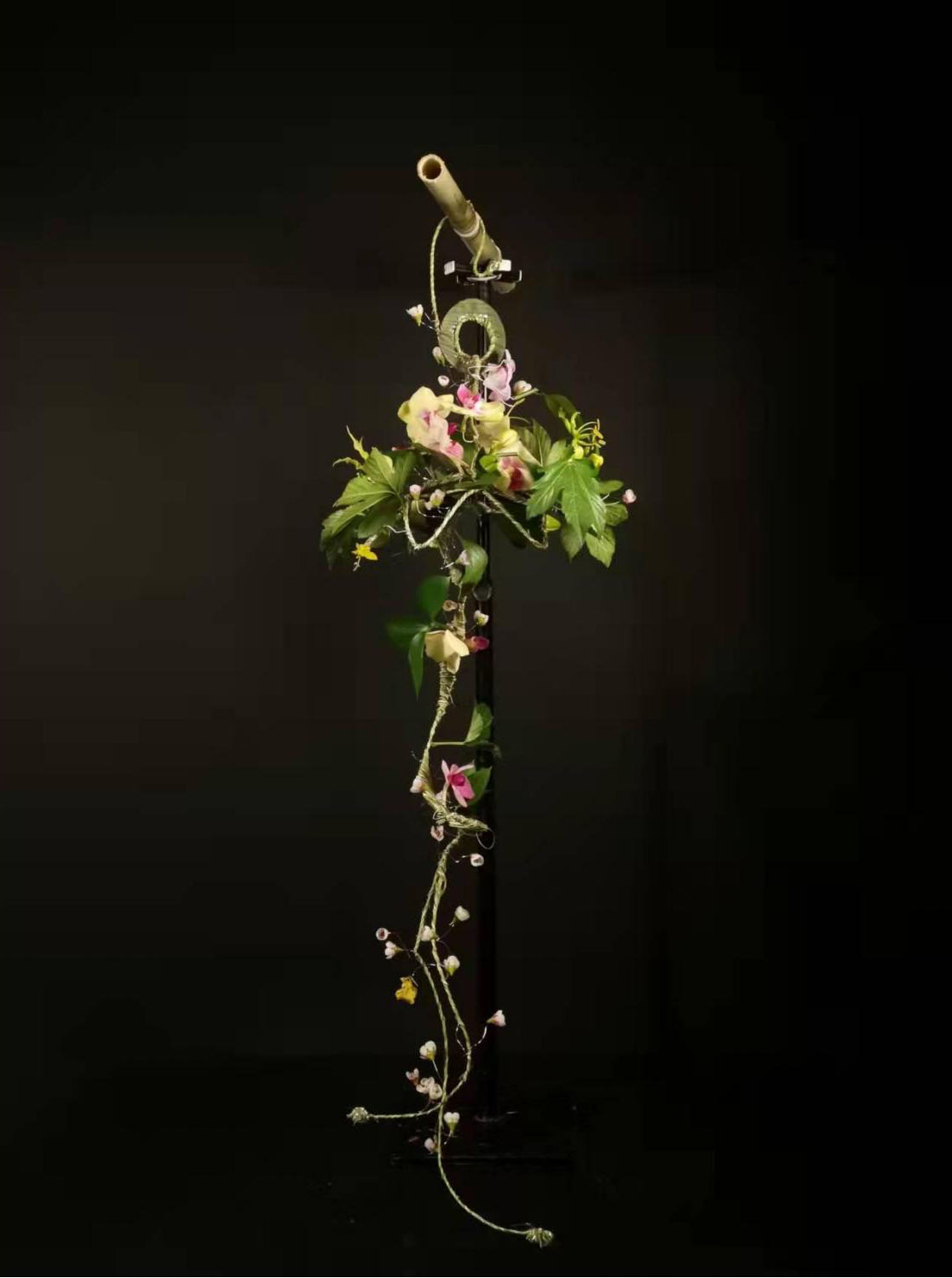 1664172262111503.jpg 1664172262111503.jpg