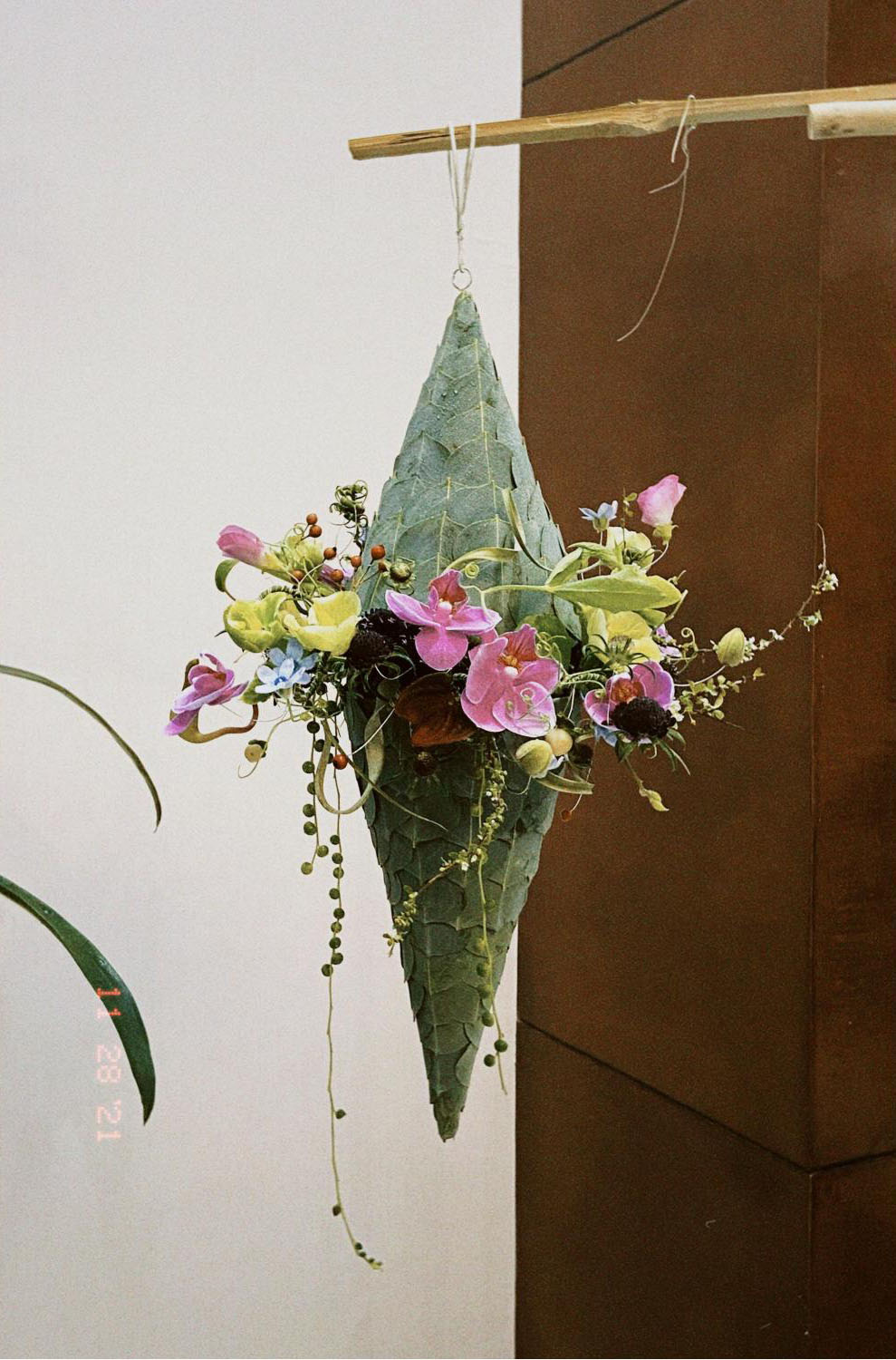 1664172262632954.jpg 1664172262632954.jpg