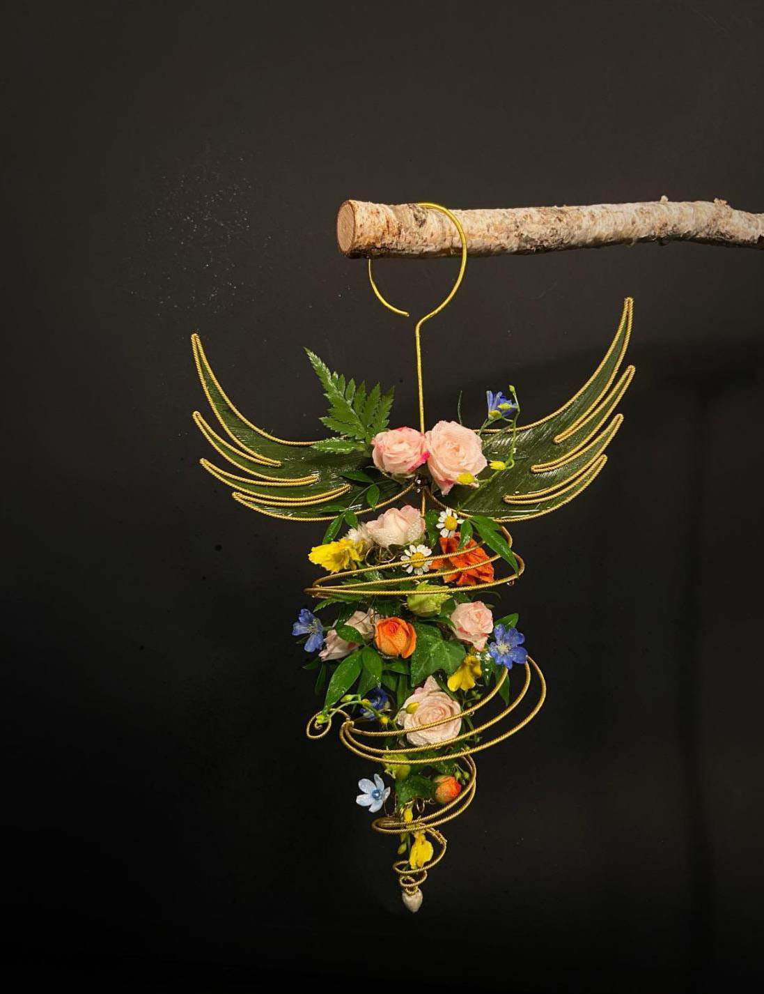 1664172262878795.jpg 1664172262878795.jpg