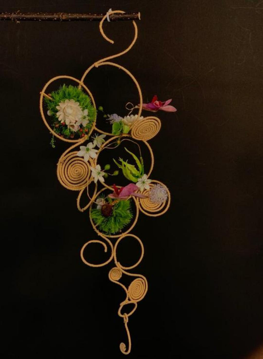 1664172262995368.jpg 1664172262995368.jpg