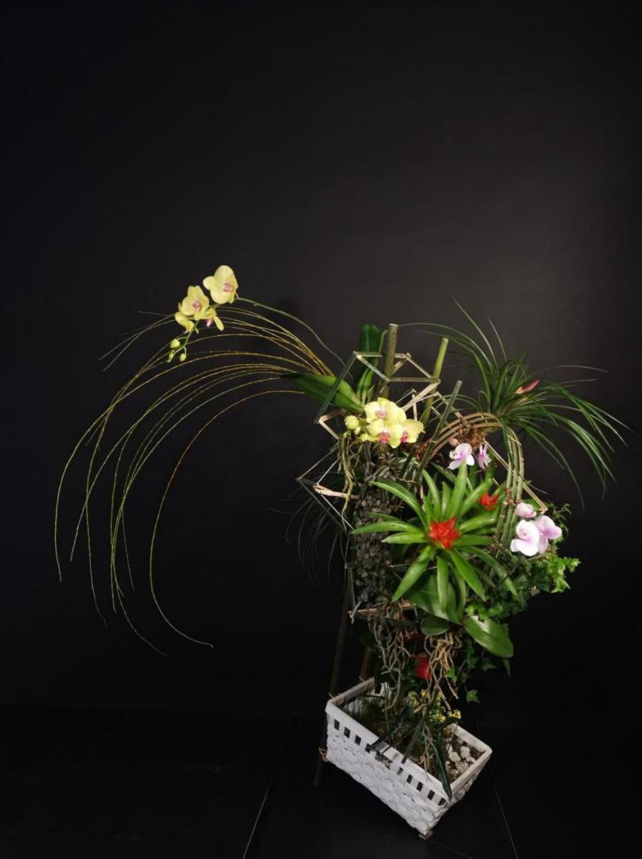 1664172463130721.jpg 1664172463130721.jpg