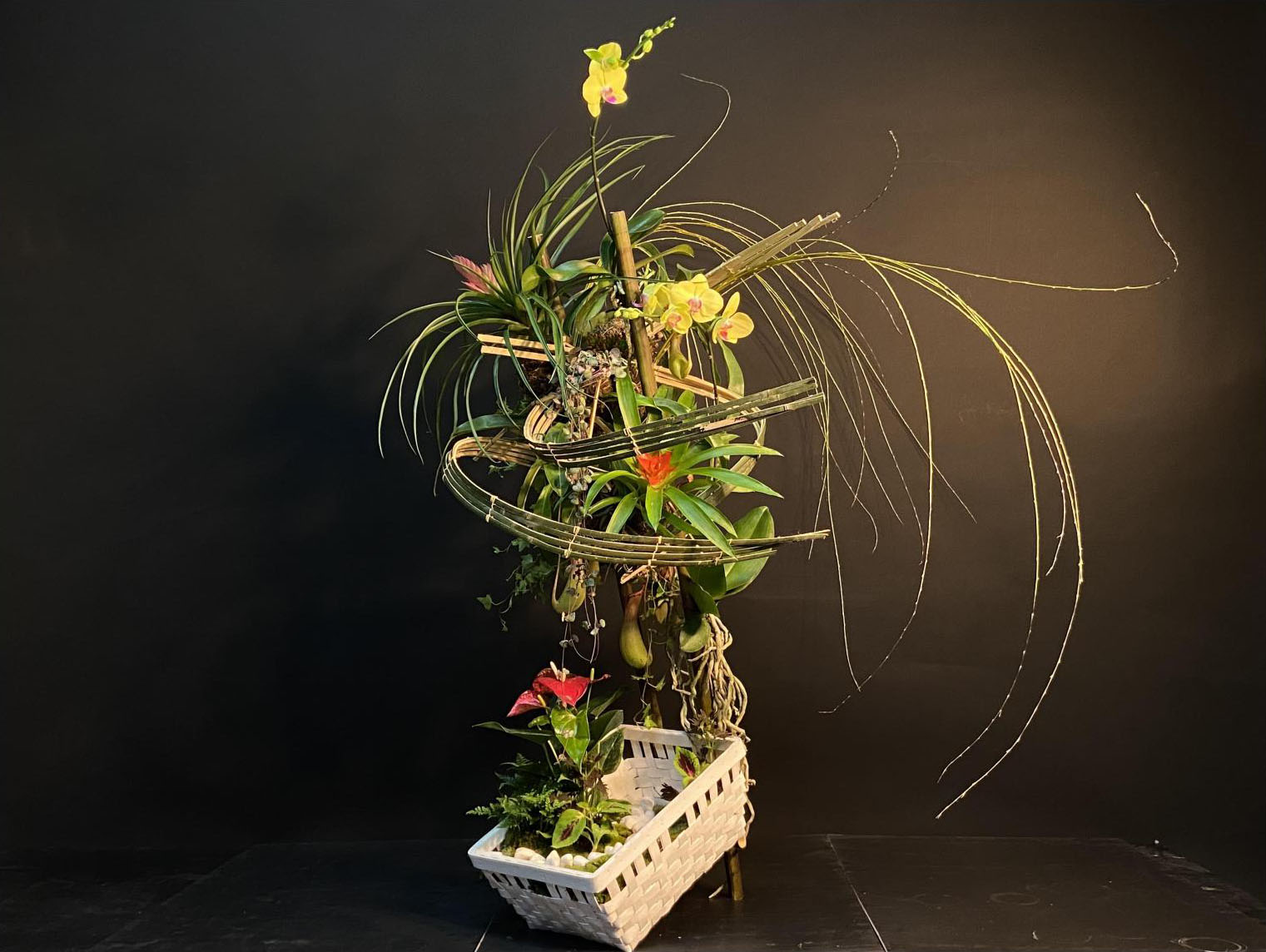 1664172463131341.jpg 1664172463131341.jpg