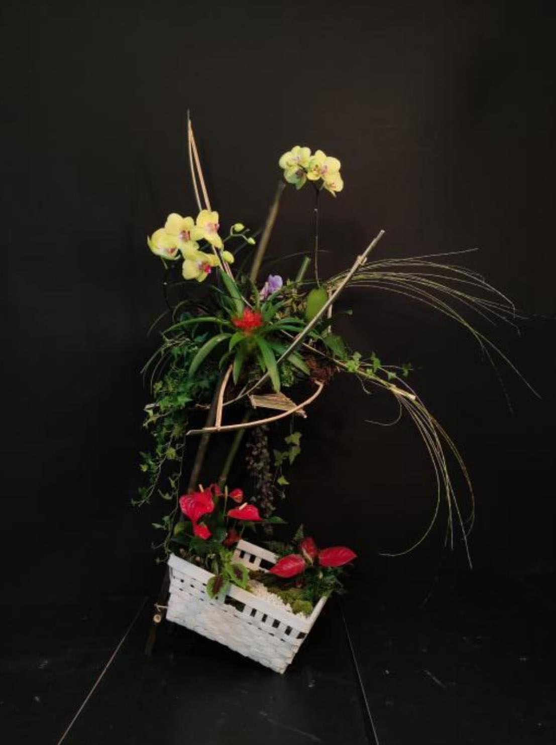 1664172463138820.jpg 1664172463138820.jpg