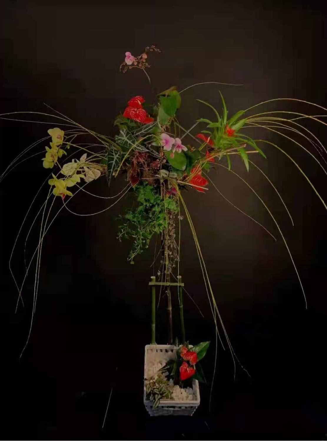 1664172463235642.jpg 1664172463235642.jpg