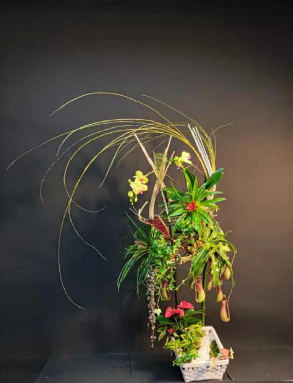 1664172463445809.jpg 1664172463445809.jpg