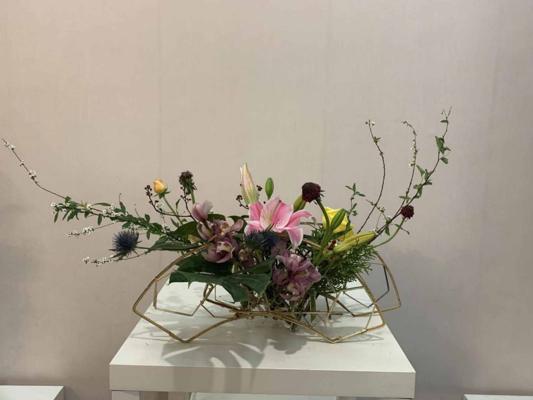 1664172578129293.jpg 1664172578129293.jpg