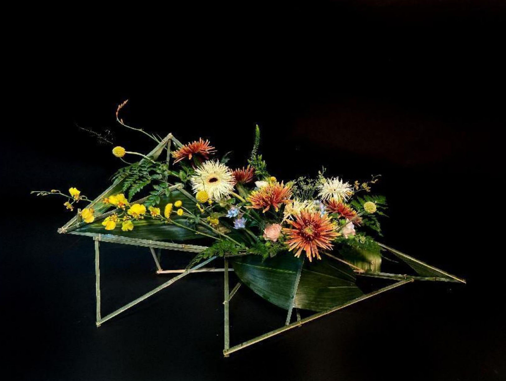 1664172578733175.jpg 1664172578733175.jpg